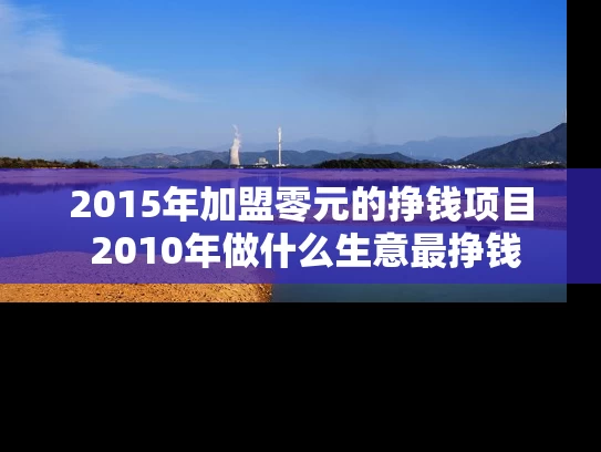 2015年加盟零元的挣钱项目 2010年做什么生意最挣钱