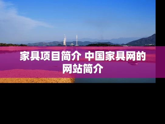 家具项目简介 中国家具网的网站简介