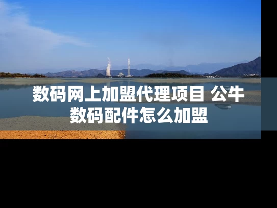 数码网上加盟代理项目 公牛数码配件怎么加盟