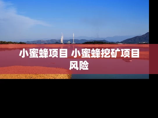 小蜜蜂项目 小蜜蜂挖矿项目风险