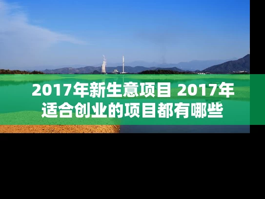 2017年新生意项目 2017年适合创业的项目都有哪些