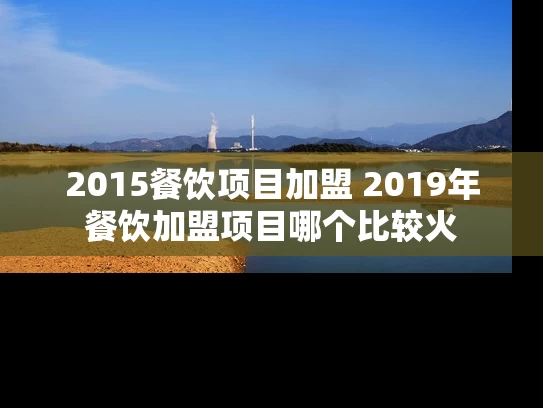2015餐饮项目加盟 2019年餐饮加盟项目哪个比较火