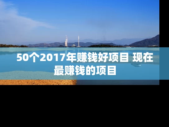 50个2017年赚钱好项目 现在最赚钱的项目