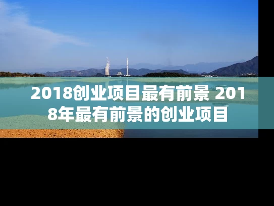 2018创业项目最有前景 2018年最有前景的创业项目