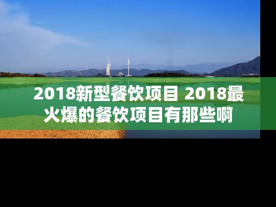 2018新型餐饮项目 2018最火爆的餐饮项目有那些啊