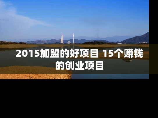 2015加盟的好项目 15个赚钱的创业项目
