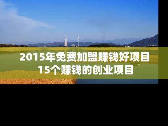 2015年免费加盟赚钱好项目 15个赚钱的创业项目