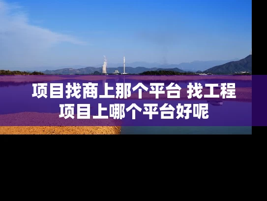 项目找商上那个平台 找工程项目上哪个平台好呢