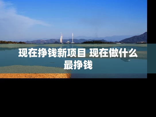 现在挣钱新项目 现在做什么最挣钱