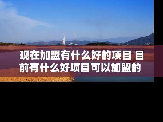 现在加盟有什么好的项目 目前有什么好项目可以加盟的 