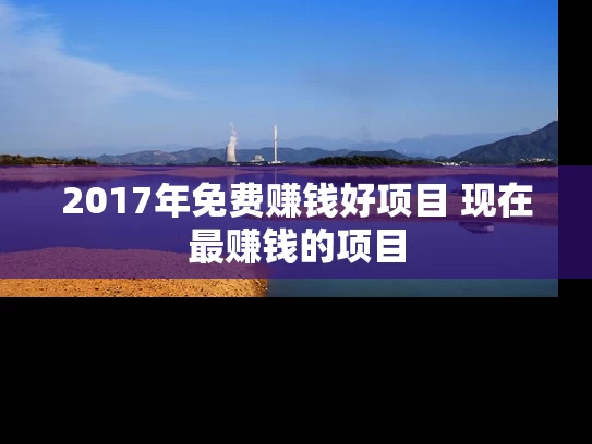 2017年免费赚钱好项目 现在最赚钱的项目