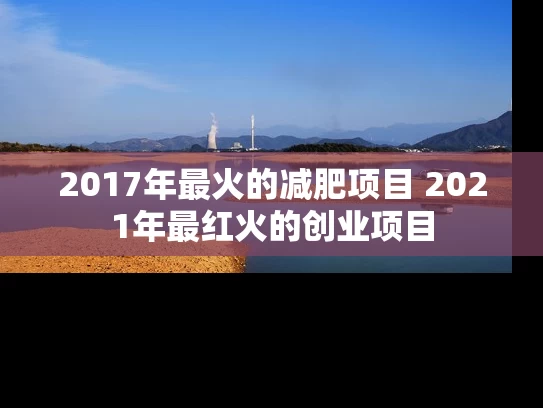 2017年最火的减肥项目 2021年最红火的创业项目