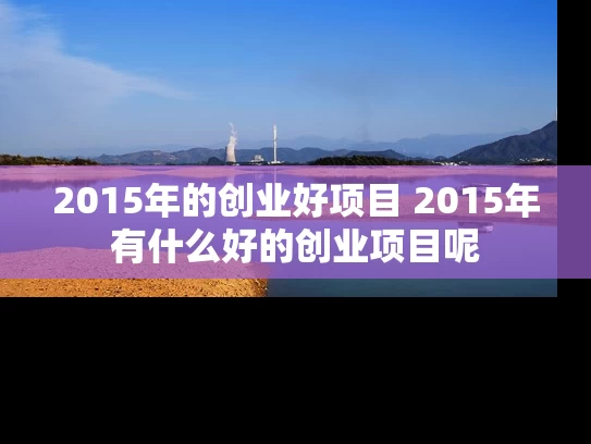 2015年的创业好项目 2015年有什么好的创业项目呢