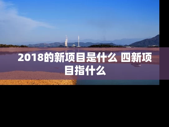 2018的新项目是什么 四新项目指什么