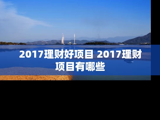 2017理财好项目 2017理财项目有哪些