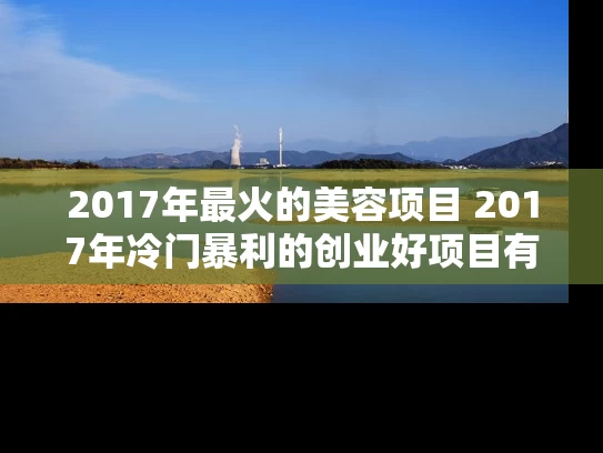 2017年最火的美容项目 2017年冷门暴利的创业好项目有哪些