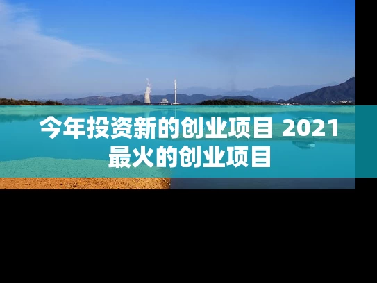 今年投资新的创业项目 2021最火的创业项目