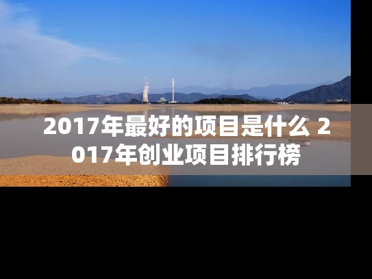 2017年最好的项目是什么 2017年创业项目排行榜