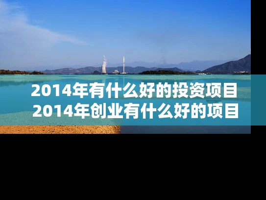2014年有什么好的投资项目 2014年创业有什么好的项目推荐吗