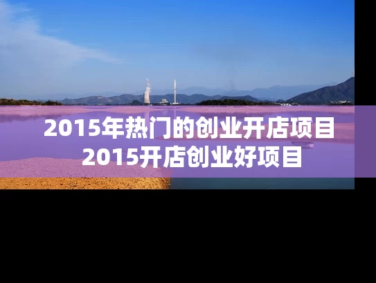2015年热门的创业开店项目 2015开店创业好项目