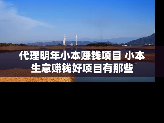 代理明年小本赚钱项目 小本生意赚钱好项目有那些