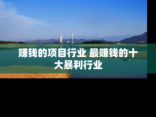赚钱的项目行业 最赚钱的十大暴利行业
