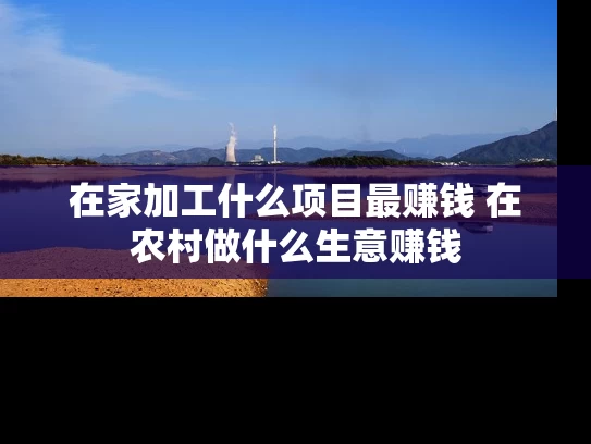 在家加工什么项目最赚钱 在农村做什么生意赚钱
