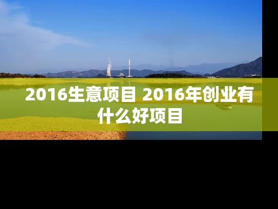 2016生意项目 2016年创业有什么好项目