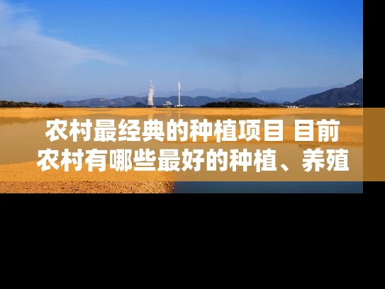 农村最经典的种植项目 目前农村有哪些最好的种植、养殖项目