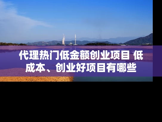代理热门低金额创业项目 低成本、创业好项目有哪些