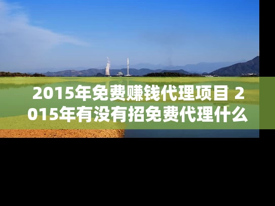 2015年免费赚钱代理项目 2015年有没有招免费代理什么最赚钱