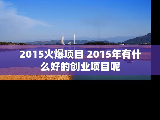 2015火爆项目 2015年有什么好的创业项目呢