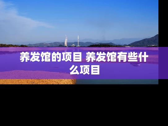 养发馆的项目 养发馆有些什么项目