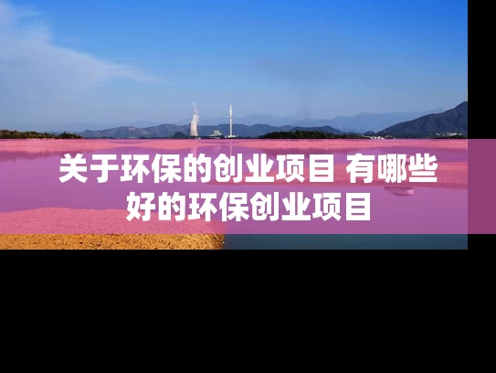关于环保的创业项目 有哪些好的环保创业项目