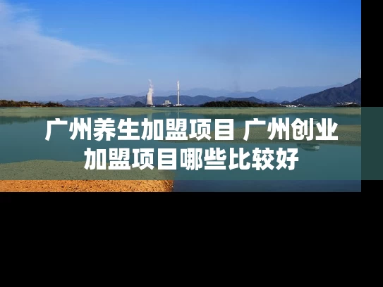 广州养生加盟项目 广州创业加盟项目哪些比较好