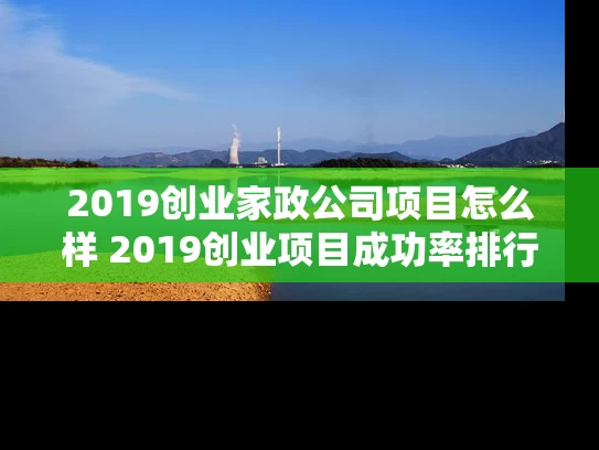 2019创业家政公司项目怎么样 2019创业项目成功率排行榜是怎么样的