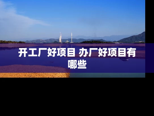 开工厂好项目 办厂好项目有哪些