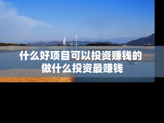 什么好项目可以投资赚钱的 做什么投资最赚钱