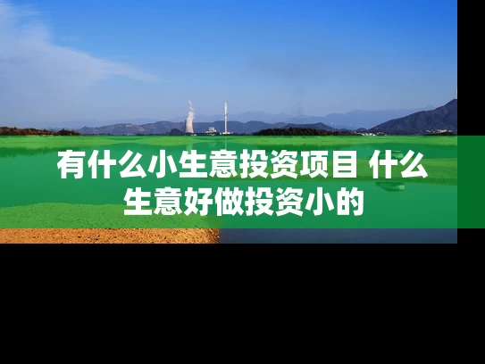 有什么小生意投资项目 什么生意好做投资小的