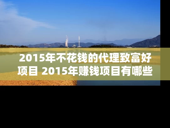 2015年不花钱的代理致富好项目 2015年赚钱项目有哪些