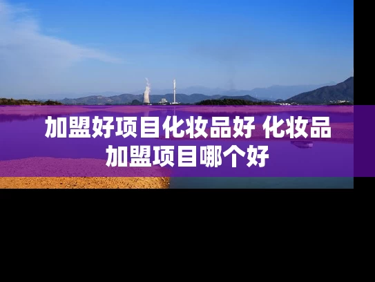 加盟好项目化妆品好 化妆品加盟项目哪个好