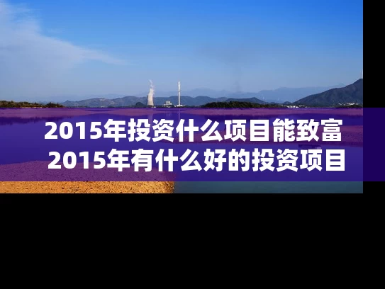 2015年投资什么项目能致富 2015年有什么好的投资项目