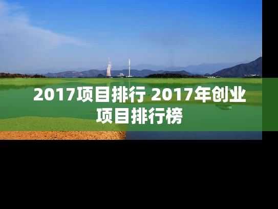 2017项目排行 2017年创业项目排行榜