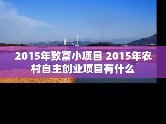 2015年致富小项目 2015年农村自主创业项目有什么