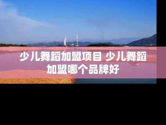 少儿舞蹈加盟项目 少儿舞蹈加盟哪个品牌好