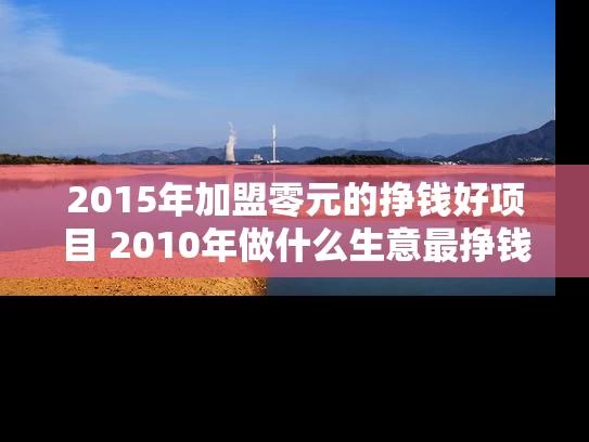 2015年加盟零元的挣钱好项目 2010年做什么生意最挣钱