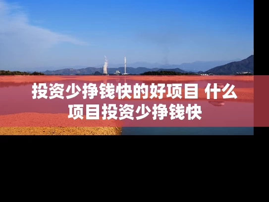 投资少挣钱快的好项目 什么项目投资少挣钱快