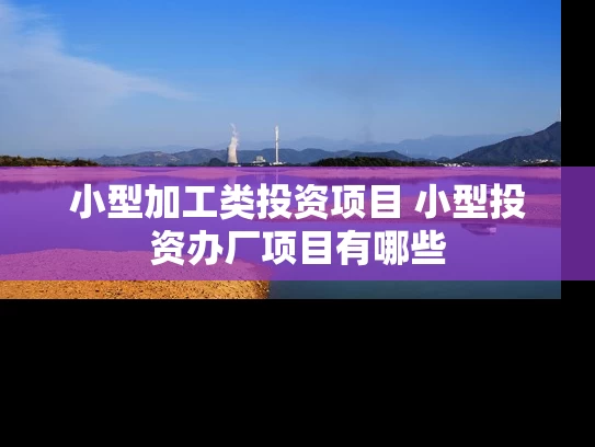 小型加工类投资项目 小型投资办厂项目有哪些