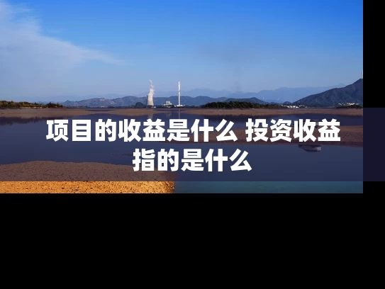 项目的收益是什么 投资收益指的是什么