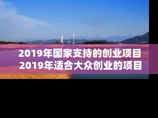 2019年国家支持的创业项目 2019年适合大众创业的项目有哪些